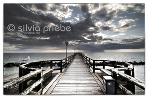 Haus Solveig im Ostseebad Wustrow - Ferienwohnung