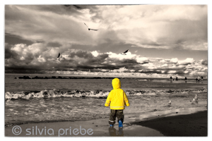 Haus Solveig im Ostseebad Wustrow - Ferienwohnung